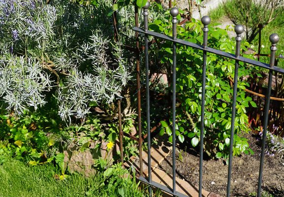 Clôture enfichable dans le jardin – avantages, possibilités d'utilisation et limites