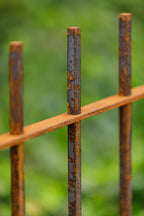 Zaun Padua als Detailansicht | Unbeschichtet