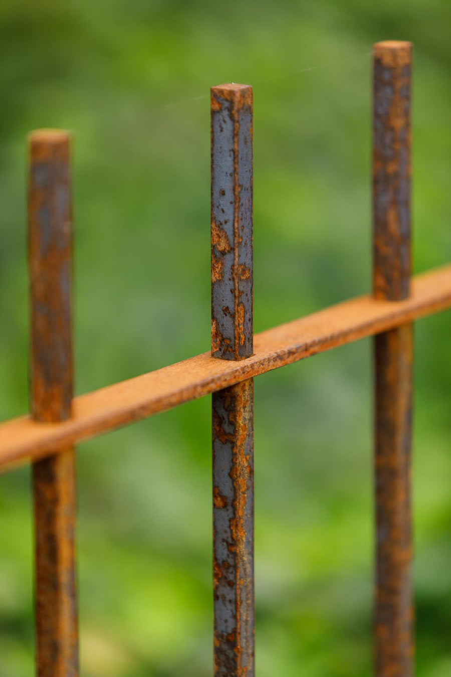 Zaun Padua als Detailansicht | Unbeschichtet
