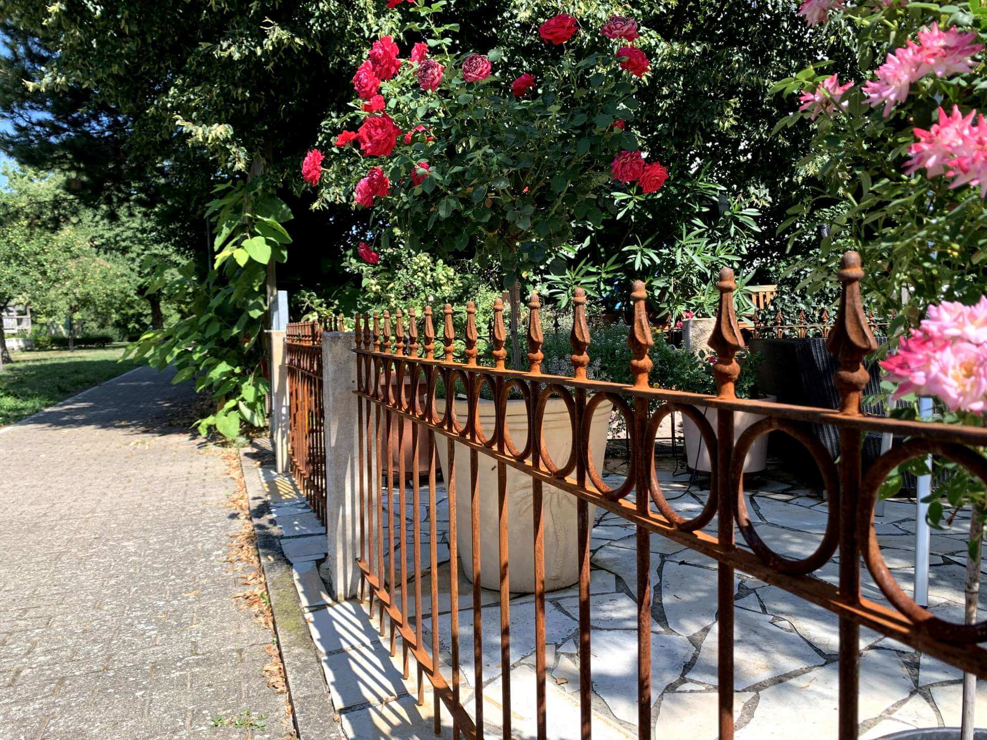 Zaun Belluno aus schräger Perspektive | Unbeschichtet