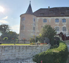 Zaun Padua vor einem Schloss | Pulverbeschichtet Anthrazit